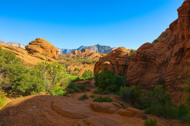 Boiler Service in Ivins, UT