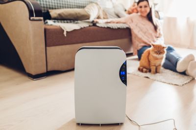Dehumidifier Repair
